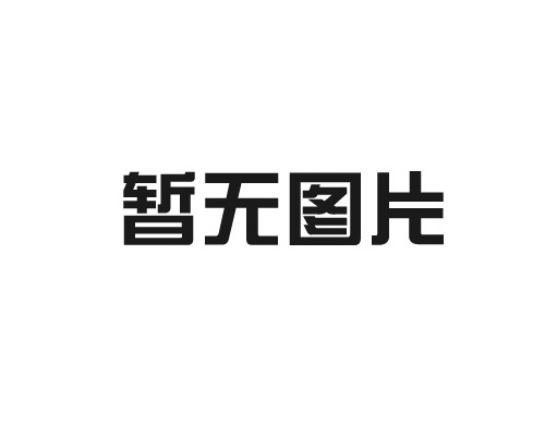 中联重科R代塔机